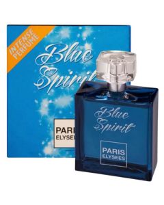 PARIS ELYSEES BLUE SPIRIT EDT 100ML